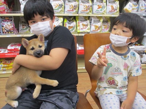 写真