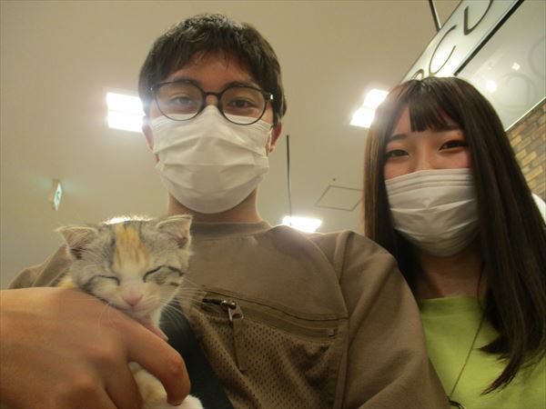 写真