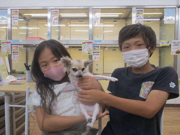 写真