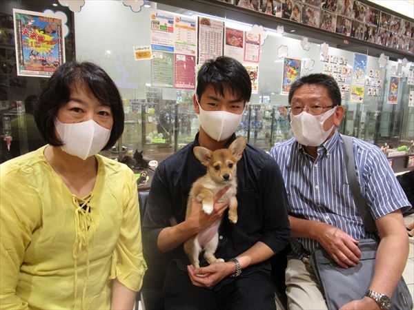 写真