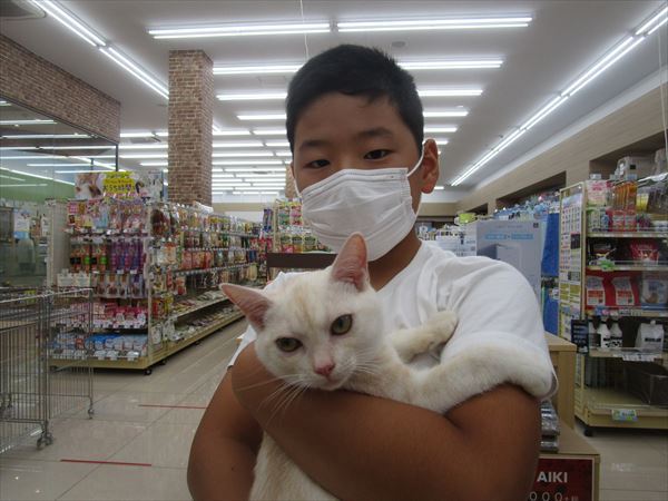 写真