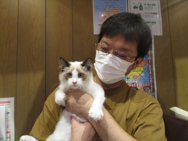 写真