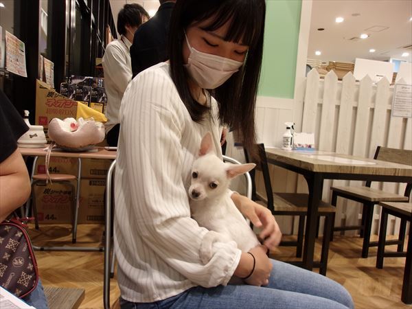 写真