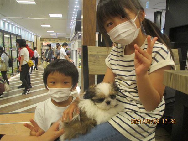 写真