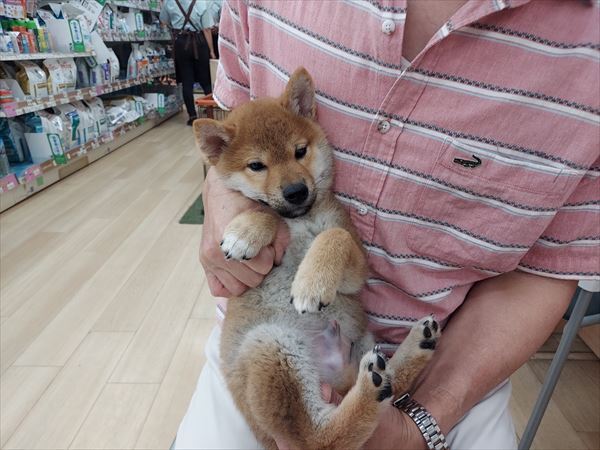 写真