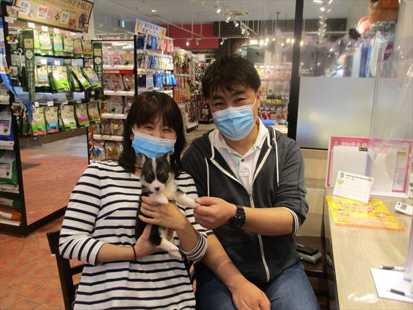 写真
