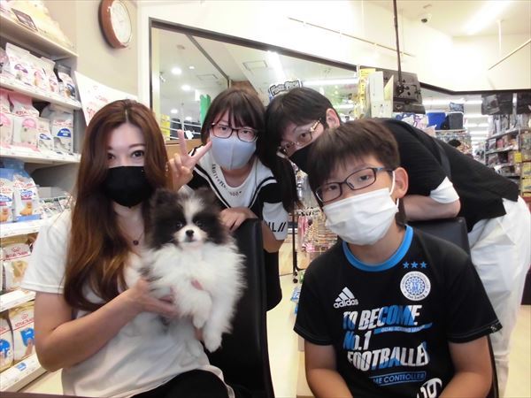 写真