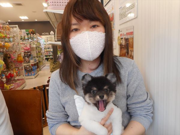 写真