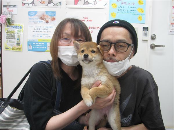 写真