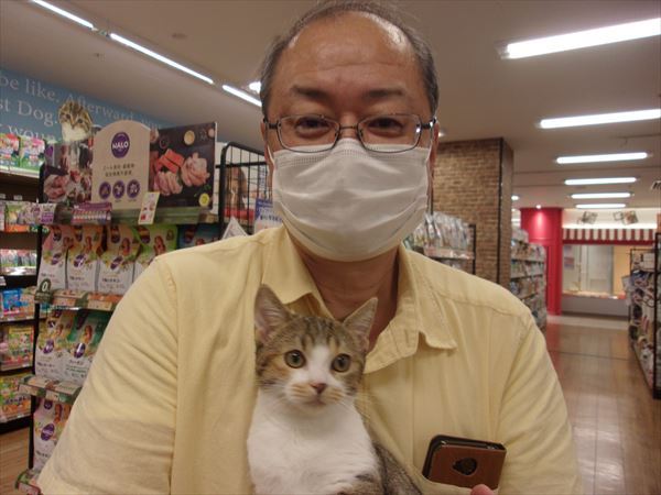 写真