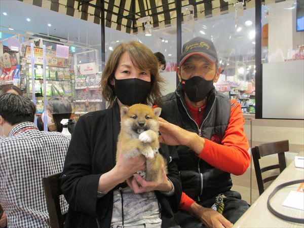 写真