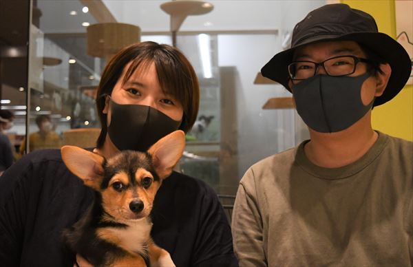 写真