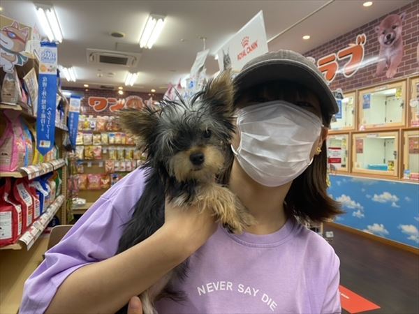 写真