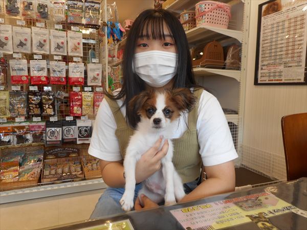 写真