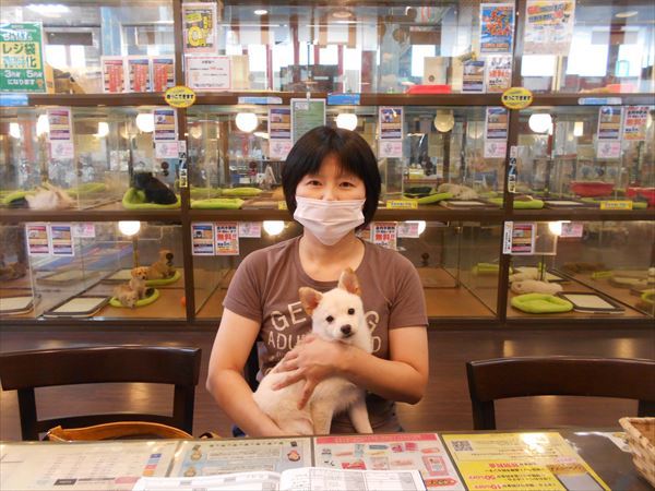 写真
