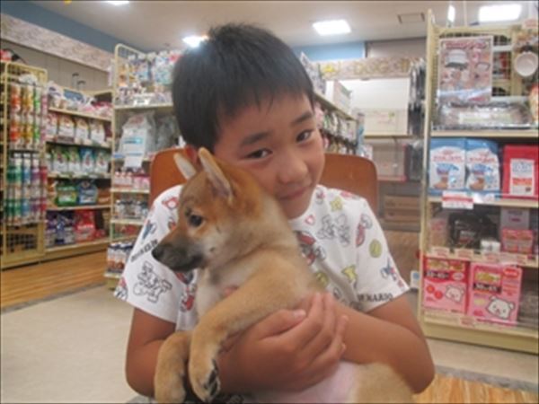 写真