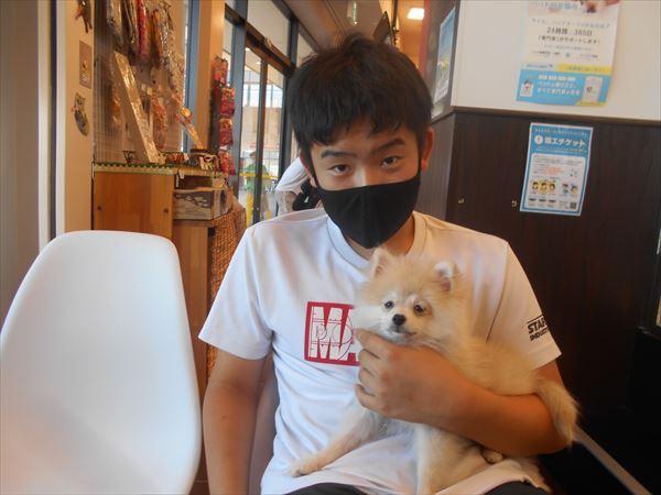 写真