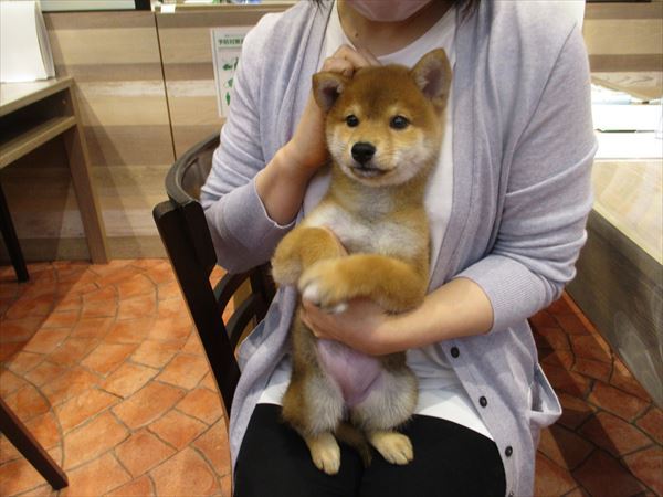 写真