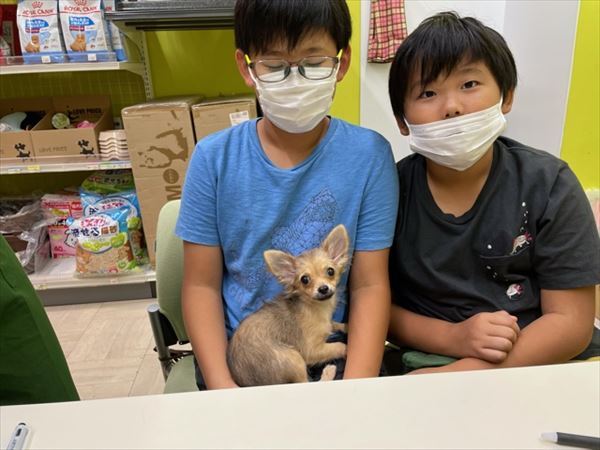 写真