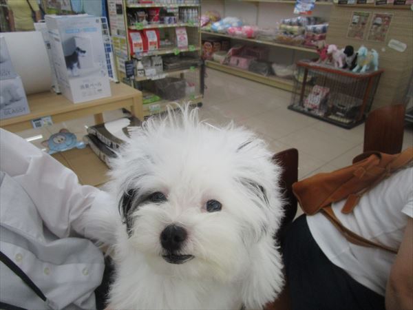写真