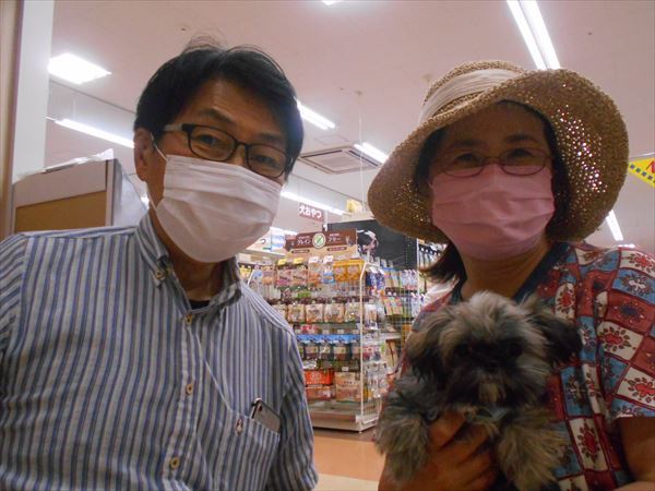 写真