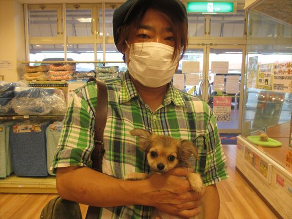 写真