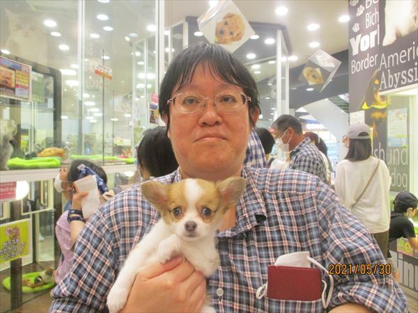 写真