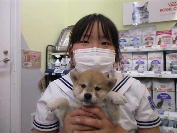 写真