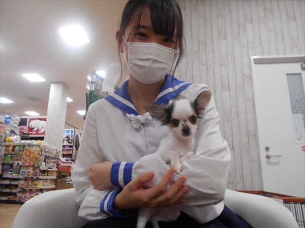 写真