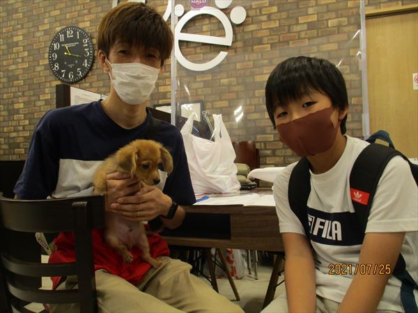 写真