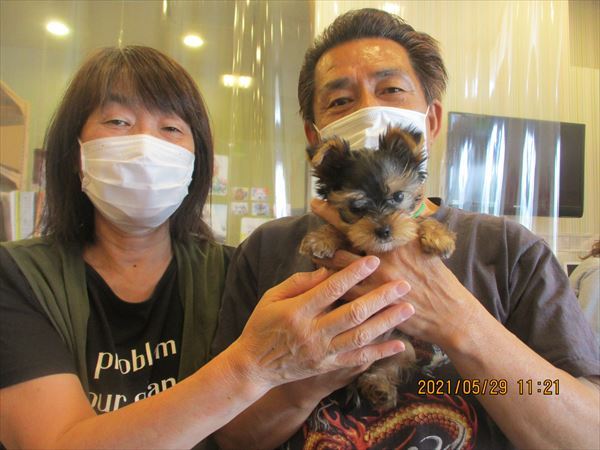 写真