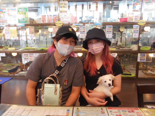 写真