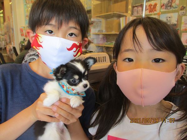 写真