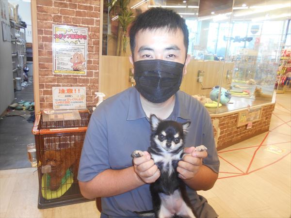 写真