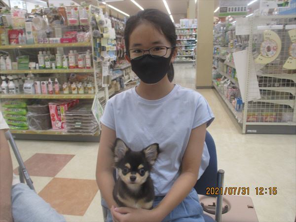 写真