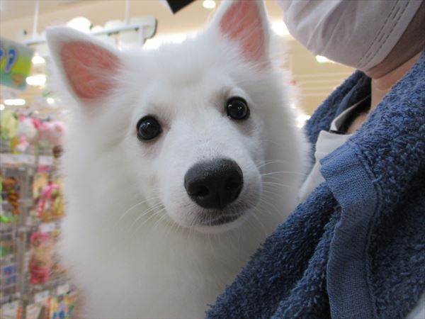 写真