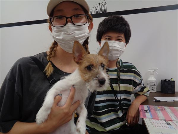 写真