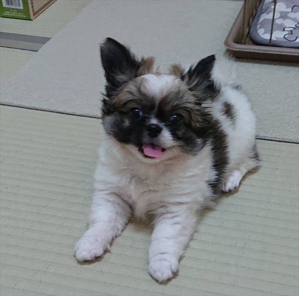 写真
