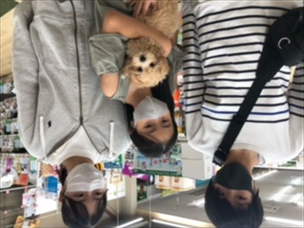 写真