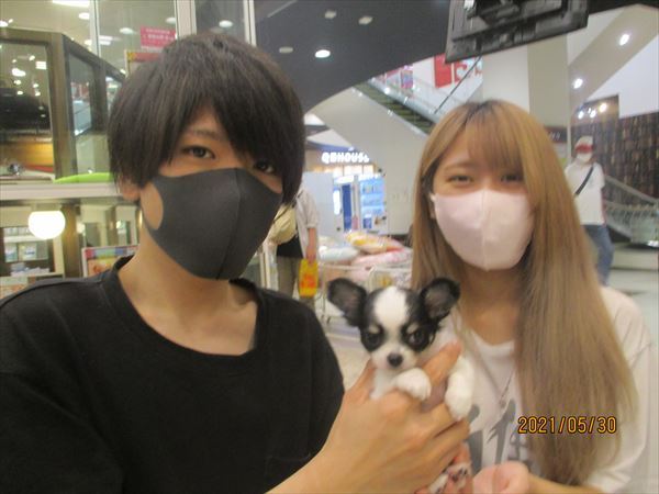 写真