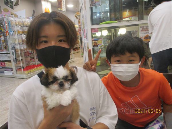 写真