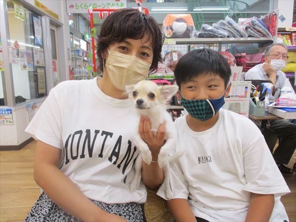 写真