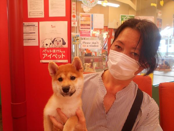 写真