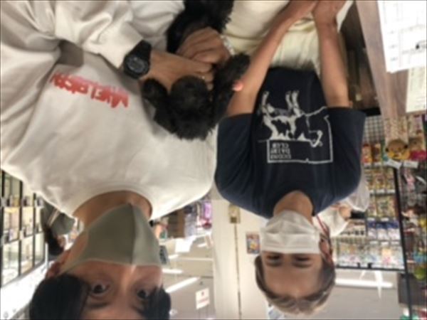 写真