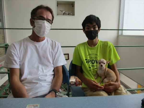 写真