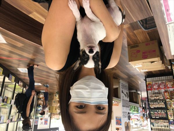 写真