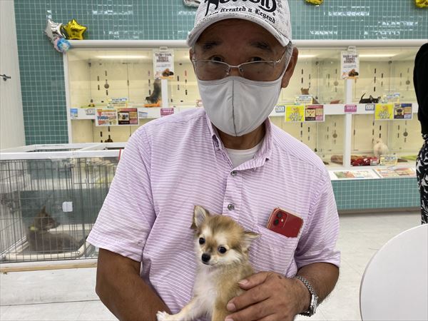 写真