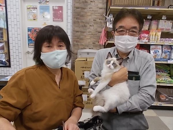 写真