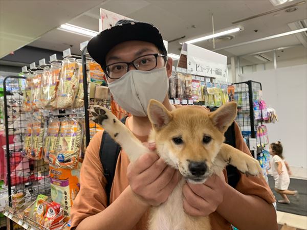 写真