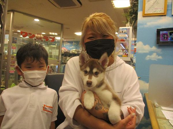写真